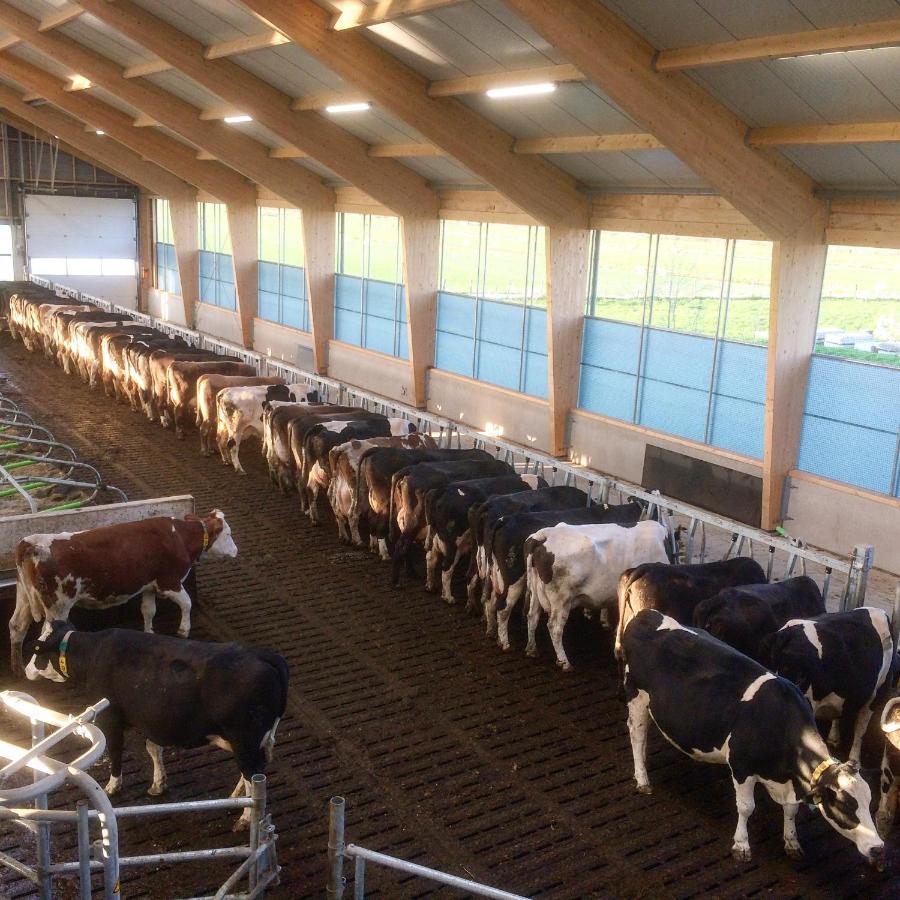 OudewaterRuyge Weyde Logies, Eco Farmアパートメント エクステリア 写真