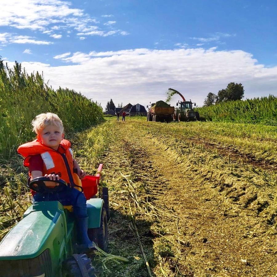 OudewaterRuyge Weyde Logies, Eco Farmアパートメント エクステリア 写真