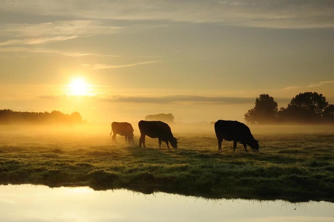 OudewaterRuyge Weyde Logies, Eco Farmアパートメント エクステリア 写真